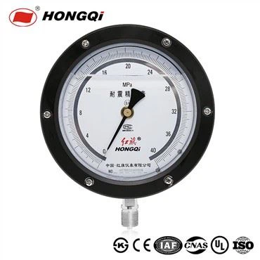 Đồng hồ đo áp suất chính xác cao tùy chỉnh
