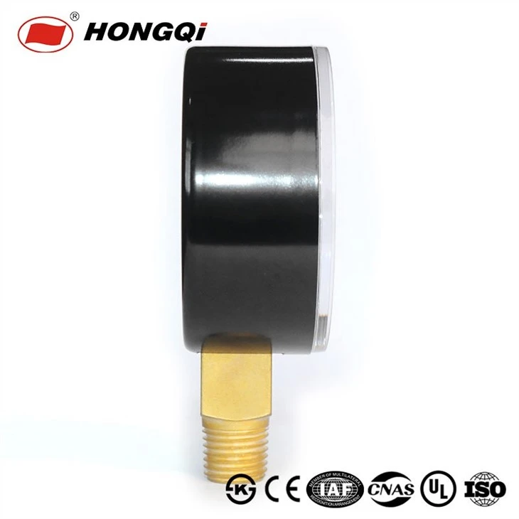 Steam pressure gauge