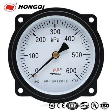 Đồng hồ đo áp suất Kiểu kết nối trục sau với mặt bích phía trước