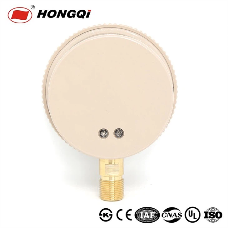 YE-100 Series Capsule Pressure Gauge