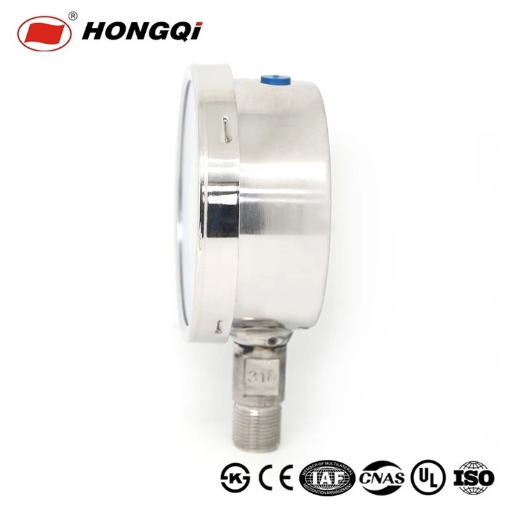 YE-100B Stainless Steel Capsule Pressure Gauge